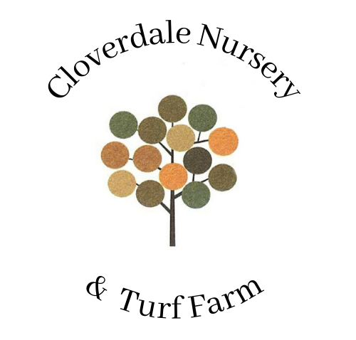 The logo of Cloverdale Nursery and Turf Farm features a tree